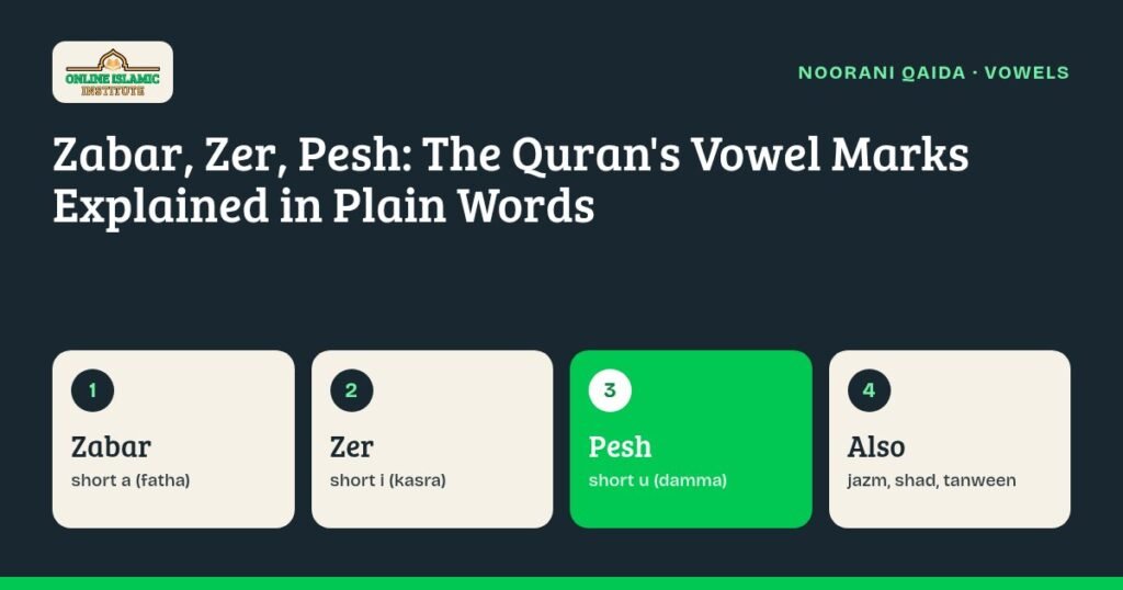 Graphic explaining zabar, zer and pesh: short vowels, tanween, jazm and shad in the Quran